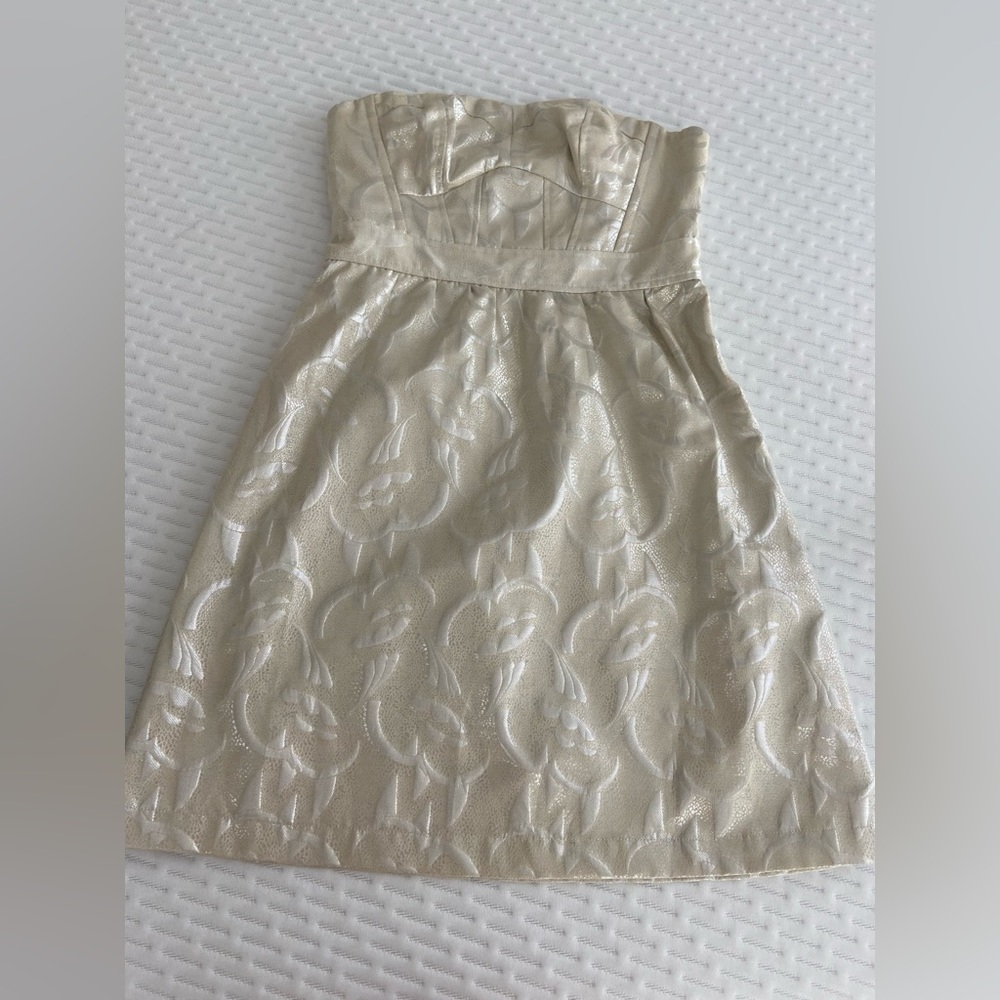 American Eagle strapless dress size 0 silver beige tan gold mini fit and flare